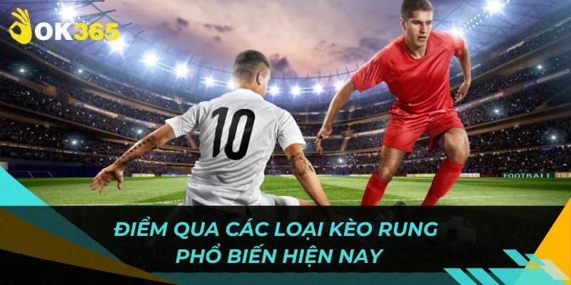 Kèo rung là gì: 4 loại kèo rung phổ biến